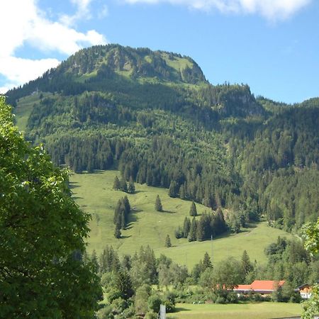 Ferienwohnung Mit Balkon I Bergblick I Parkplatz Apartment One Bad Hindelang Exterior foto